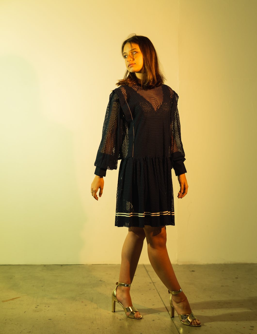 ANLDS_025