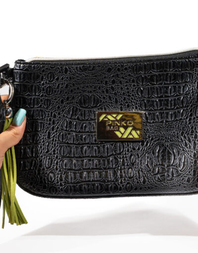 Pochette Pinko 6