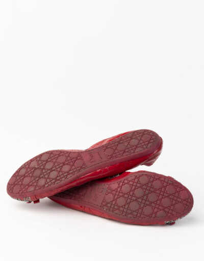Ballerine Dior 4